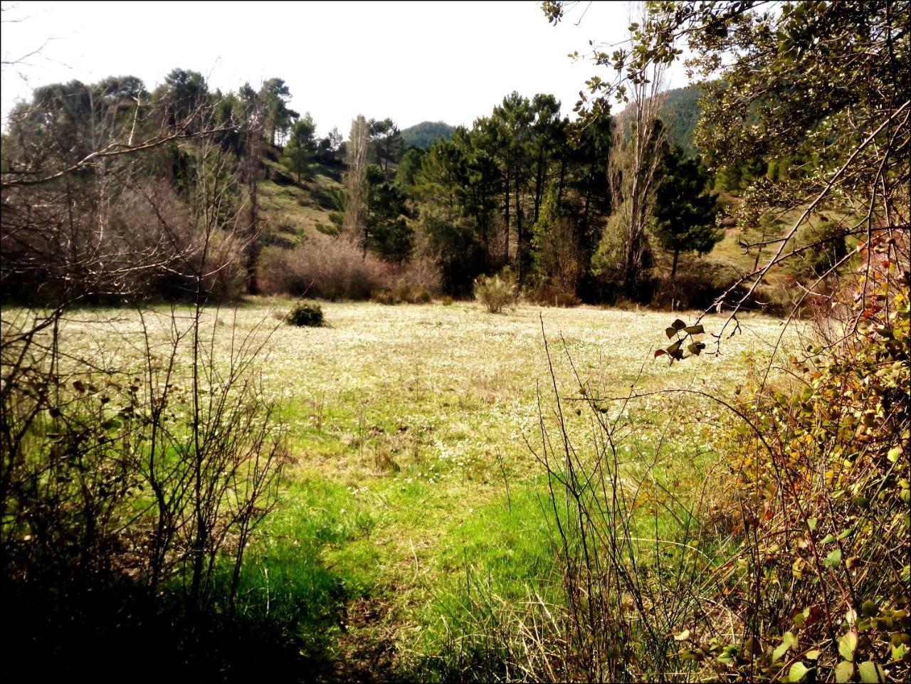 Casas Rurales Picos Del Oso Riópar Exteriér fotografie