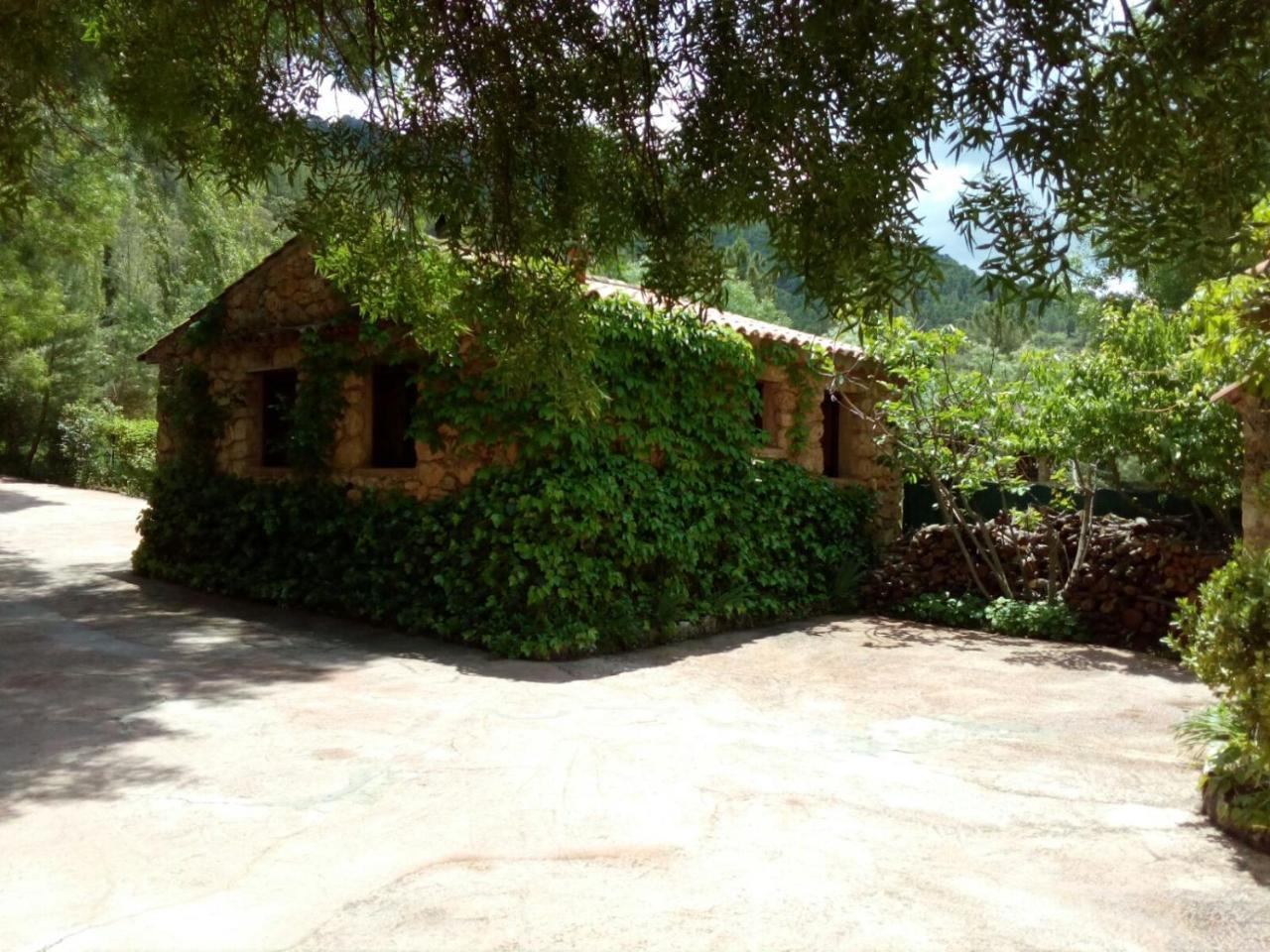Casas Rurales Picos Del Oso Riópar Exteriér fotografie