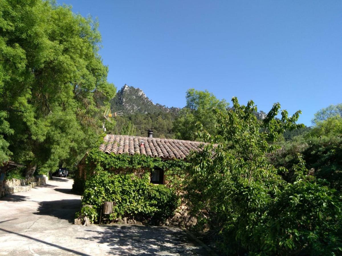 Casas Rurales Picos Del Oso Riópar Exteriér fotografie
